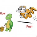 Slow-Fast