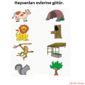 Hayvanların Evleri